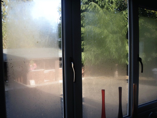 ANTI FOG